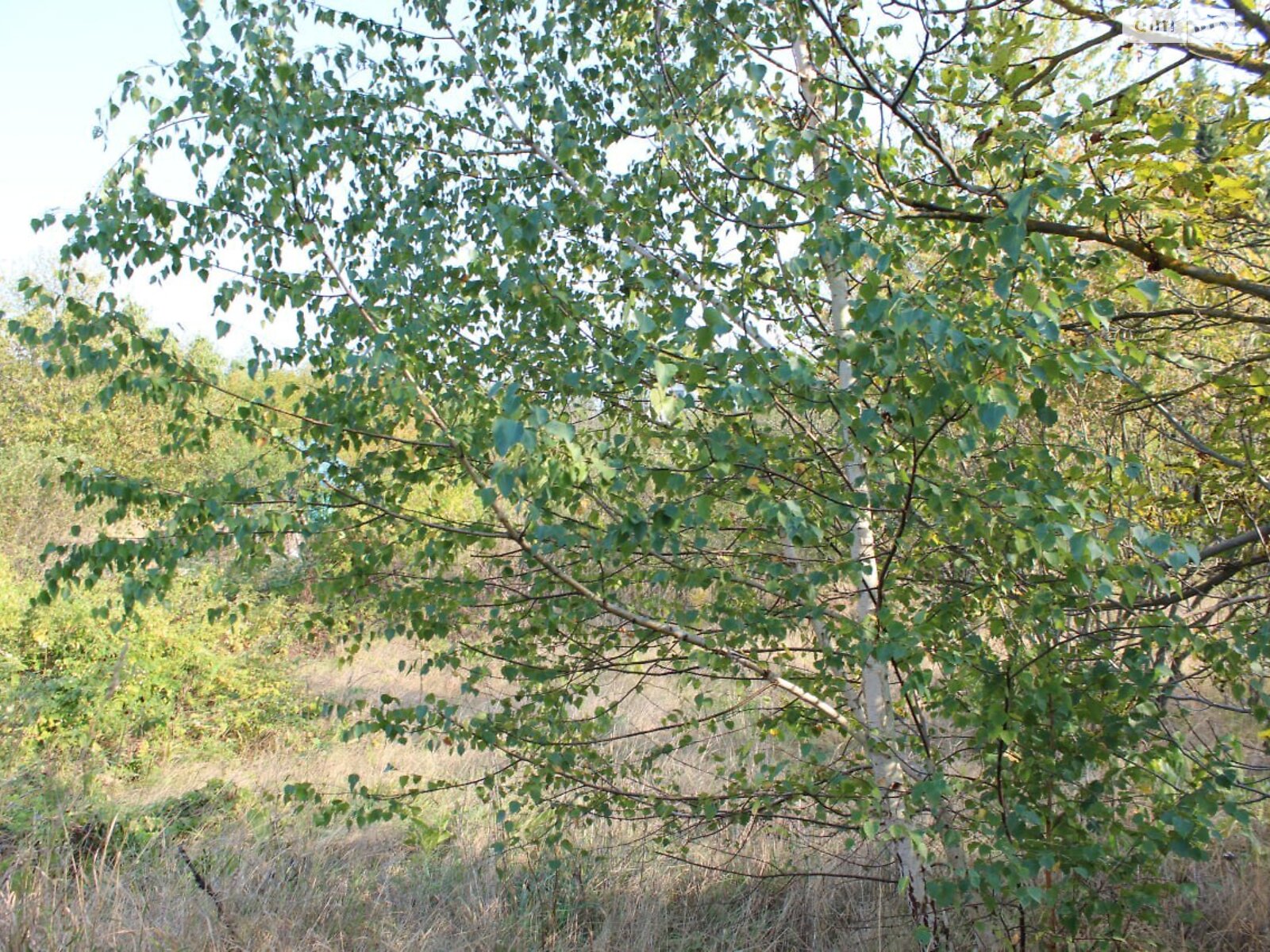 Фото ПЛОЩА - 6 CОТ., ЦІНА - 1 450 $
 у Вінниці