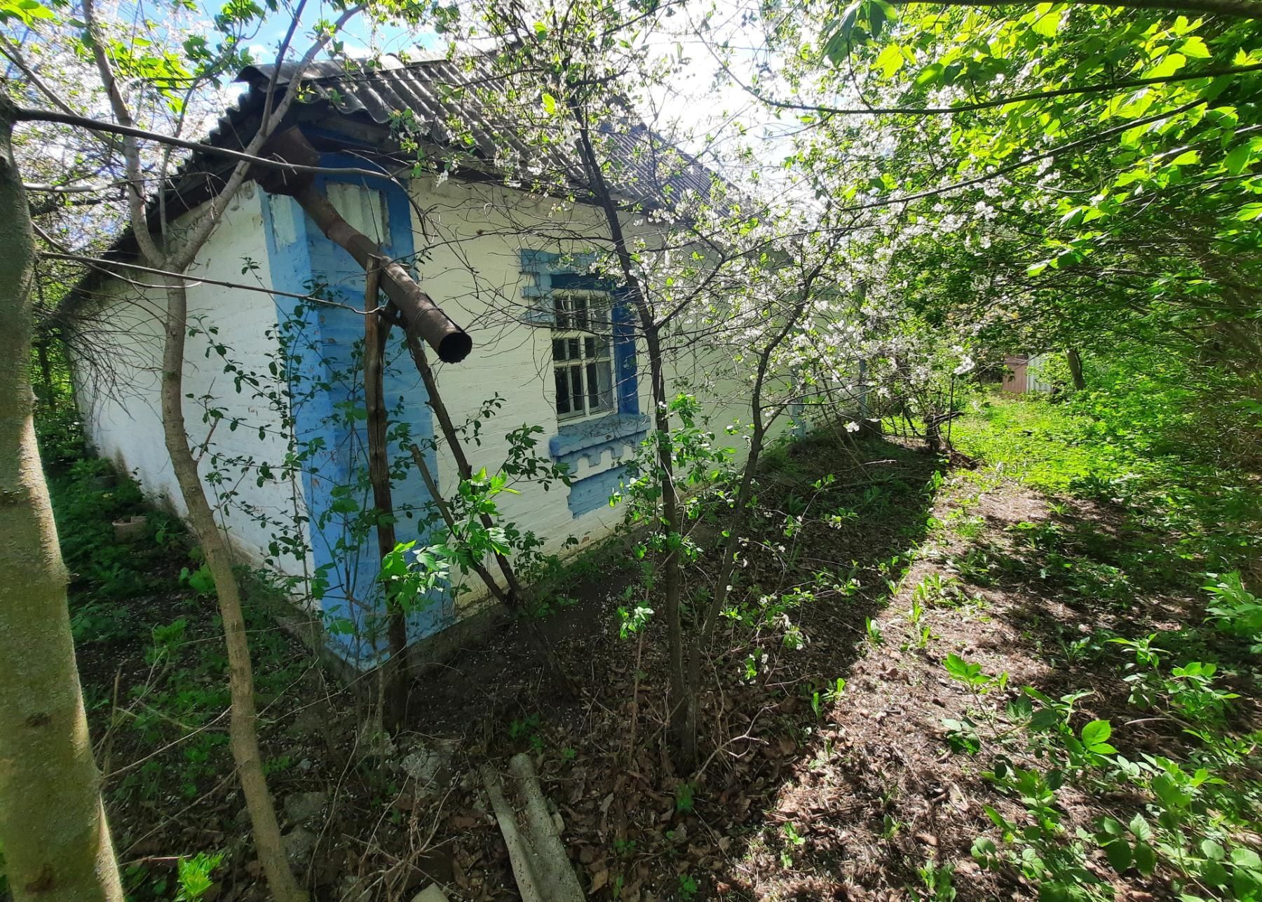 Фото 3 КІМ. БУДИНОК, ПЛОЩА - 60 м², ЦІНА - 5 000 $
 у Вінниці