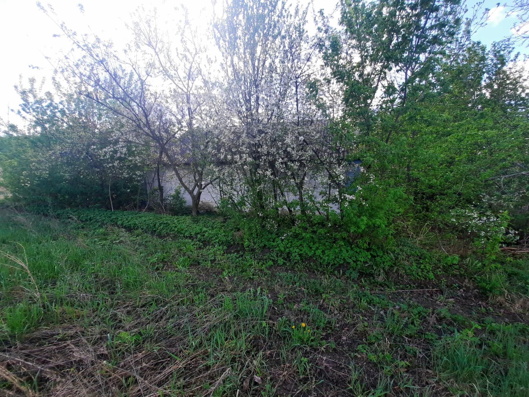 Фото 3 КІМ. БУДИНОК, ПЛОЩА - 60 м², ЦІНА - 5 000 $
 у Вінниці
