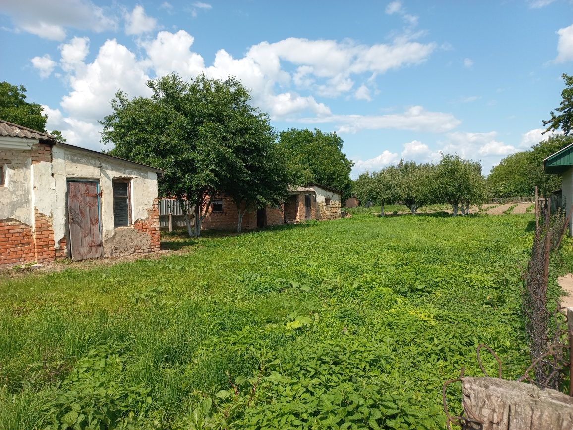 Фото 3 КІМ. БУДИНОК, ПЛОЩА - 65 м², ЦІНА - 3 500 $
 у Вінниці