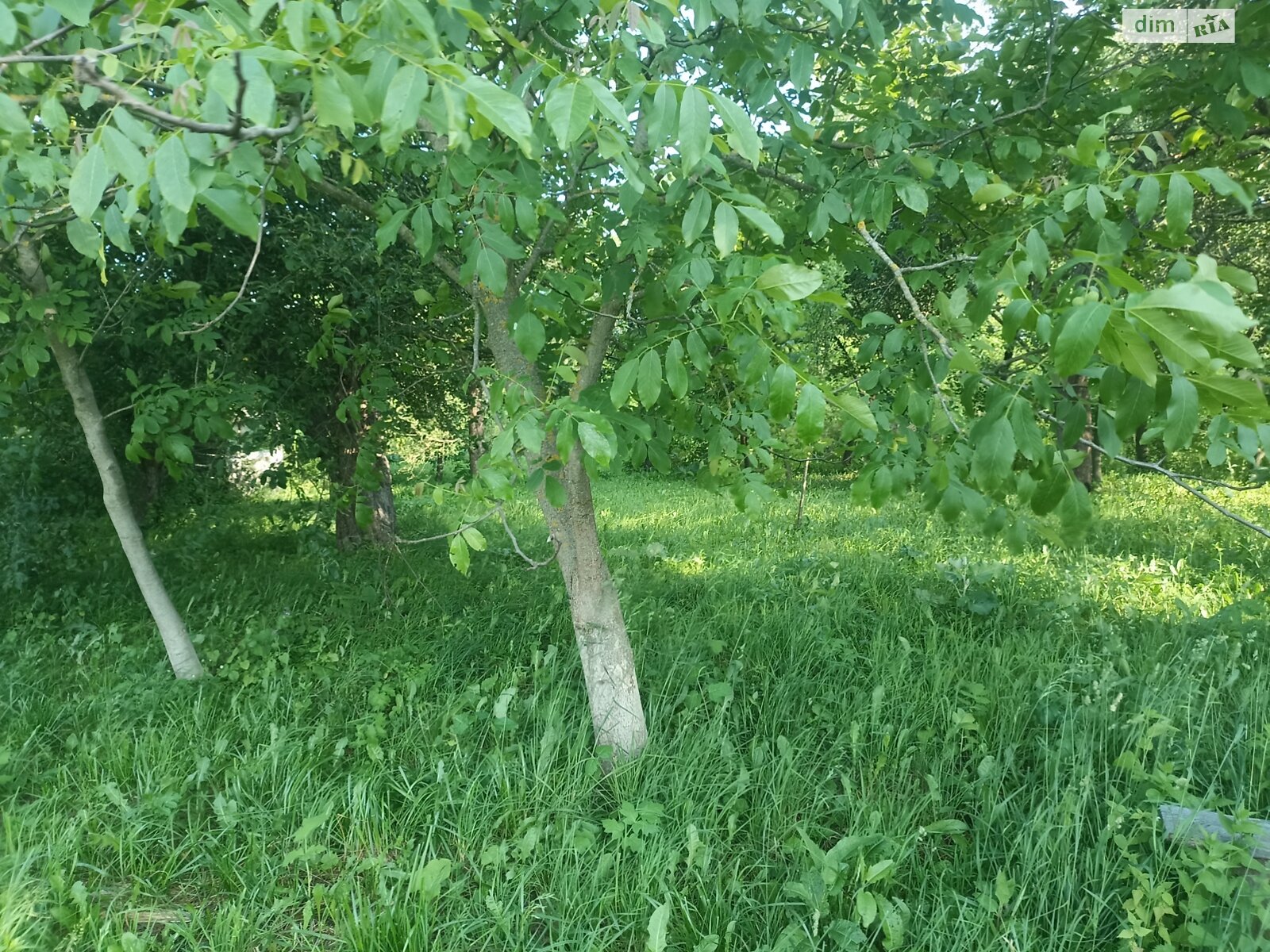 Обʼєкт нерухомості: 3 КІМ. БУДИНОК, ПЛОЩА - 50 м², ЦІНА - 3 000 $
 — HUBTRUST, Вінниця