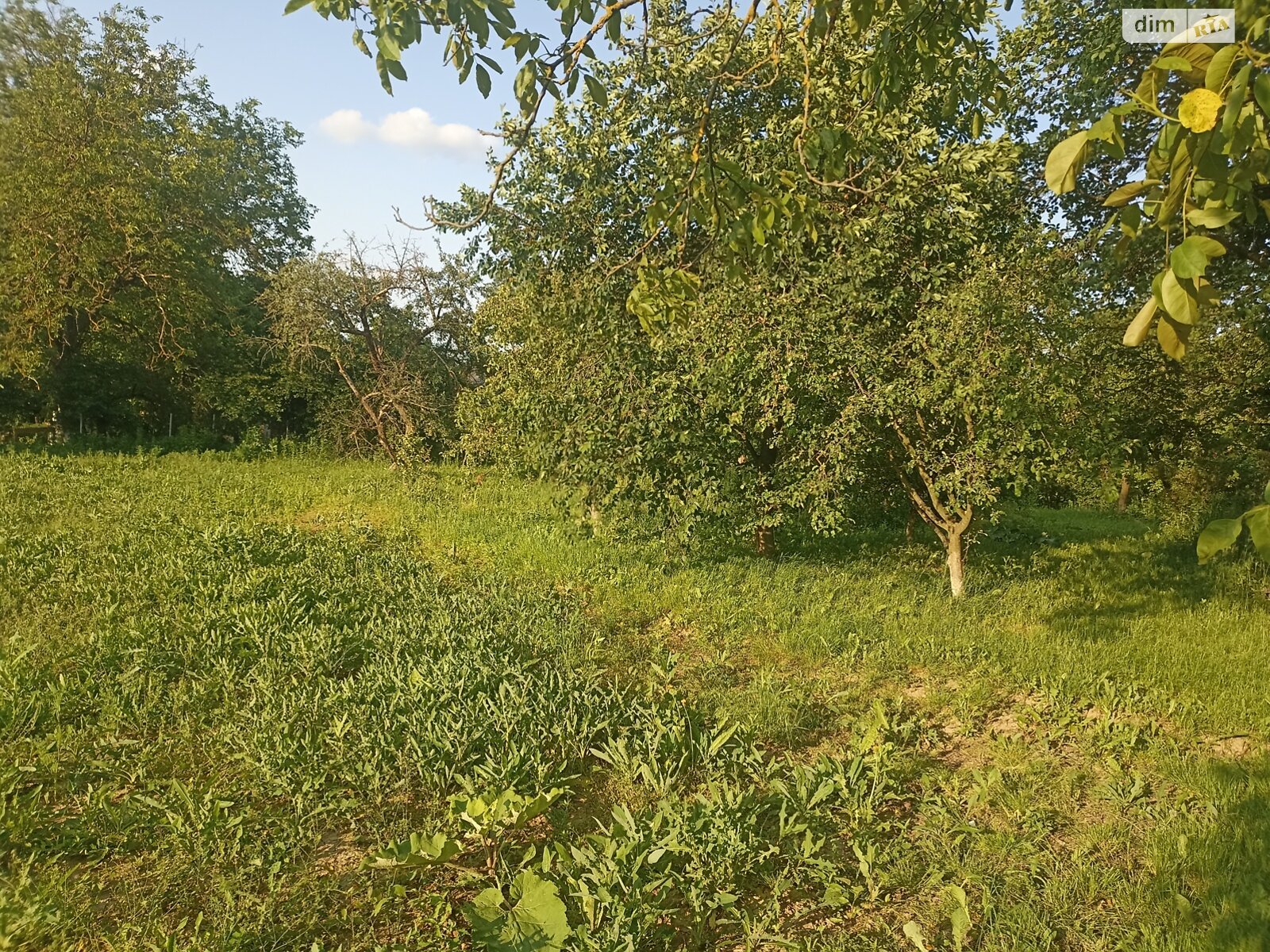 Обʼєкт нерухомості: 3 КІМ. БУДИНОК, ПЛОЩА - 50 м², ЦІНА - 3 000 $
 — HUBTRUST, Вінниця