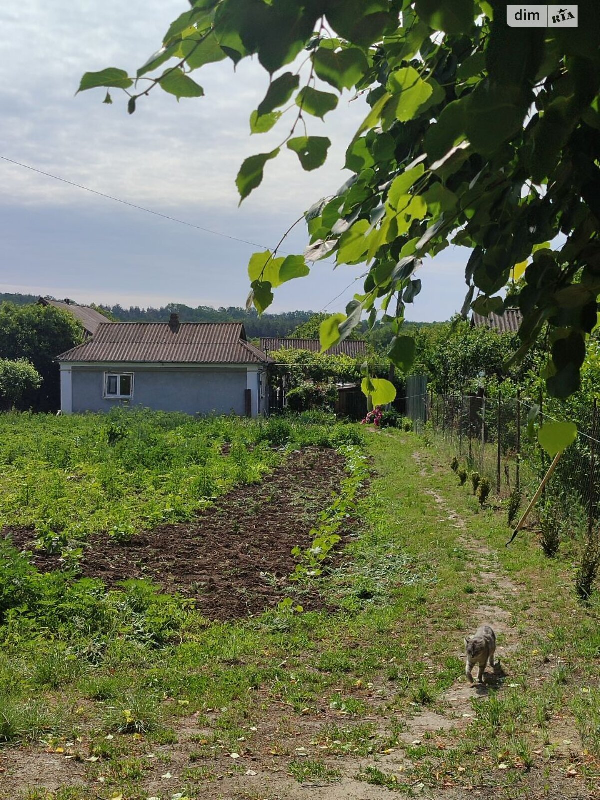 Обʼєкт нерухомості: 3 КІМ. БУДИНОК, ПЛОЩА - 145 м², ЦІНА - 17 000 $
 — HUBTRUST, Вінниця