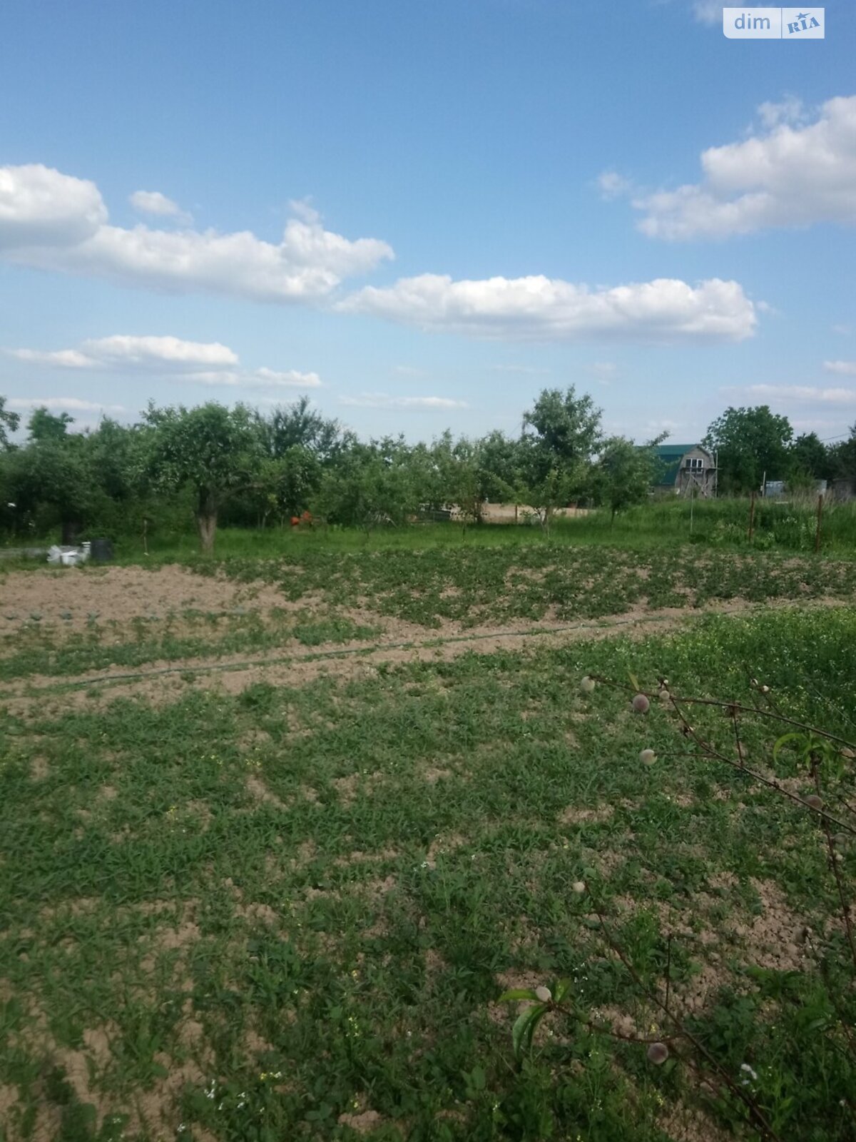 Обʼєкт нерухомості: ПЛОЩА - 6 CОТ., ЦІНА - 15 000 $
, вул. Рівна — HUBTRUST, Вінниця