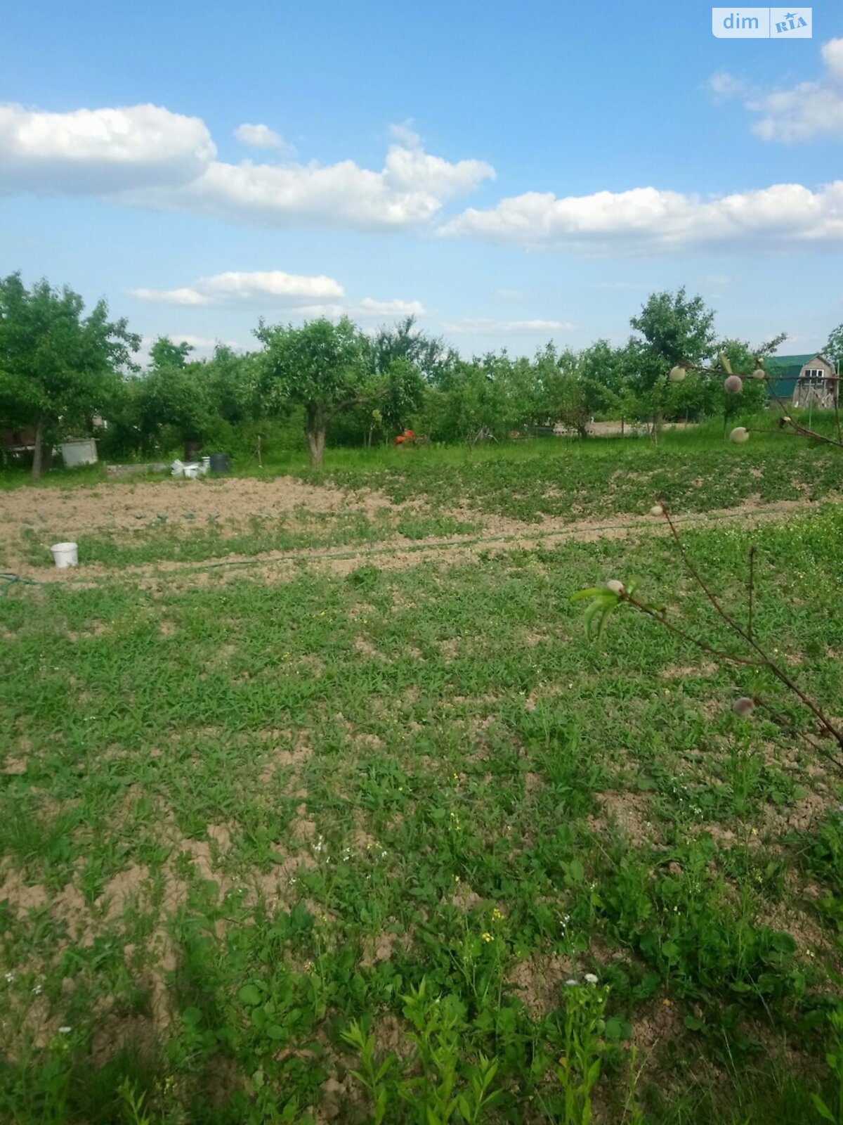 Обʼєкт нерухомості: ПЛОЩА - 6 CОТ., ЦІНА - 15 000 $
, вул. Рівна — HUBTRUST, Вінниця