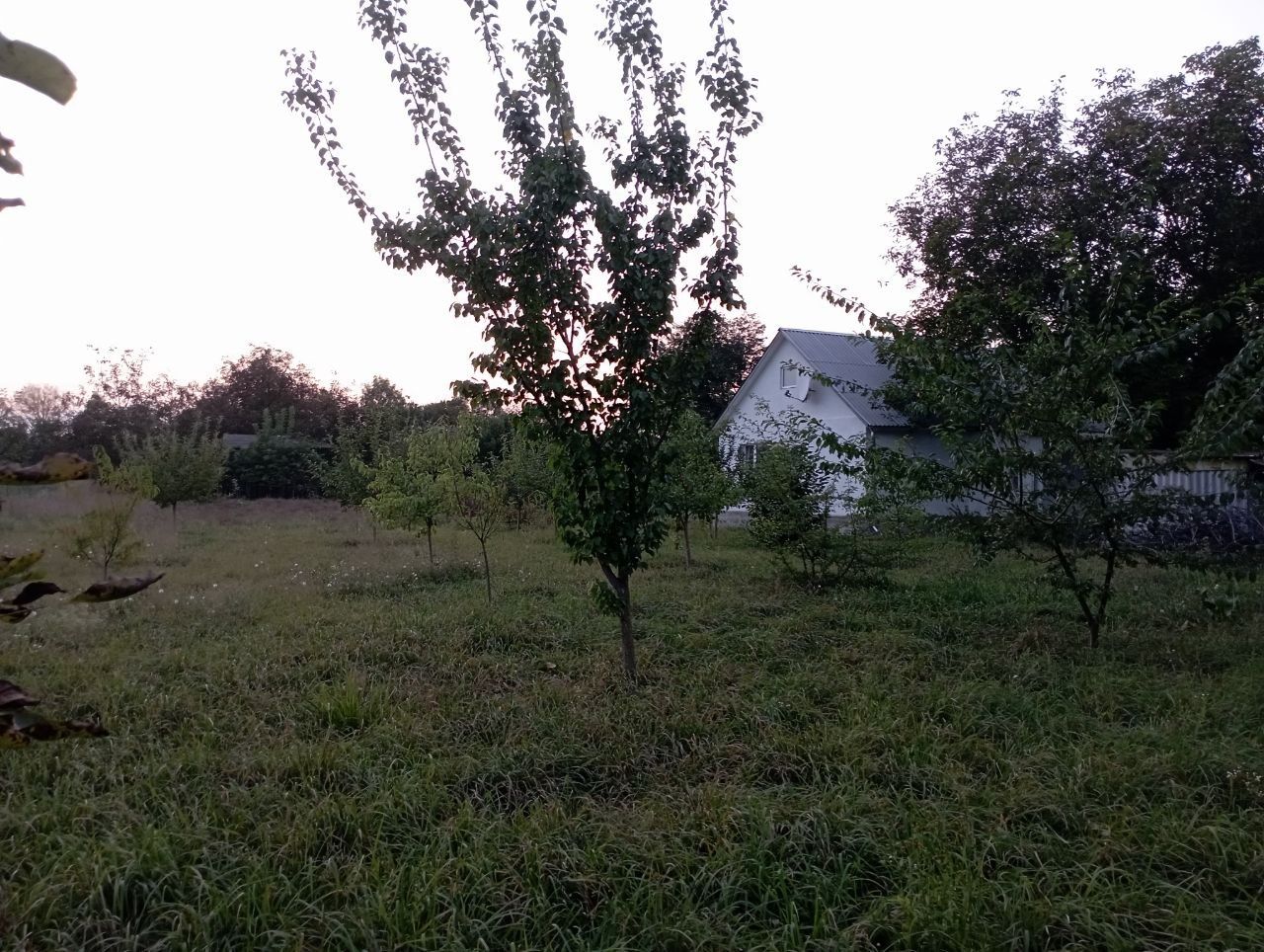 Обʼєкт нерухомості: 3 КІМ. БУДИНОК, ПЛОЩА - 2900 м², ЦІНА - 32 000 $
 — HUBTRUST, Вінниця