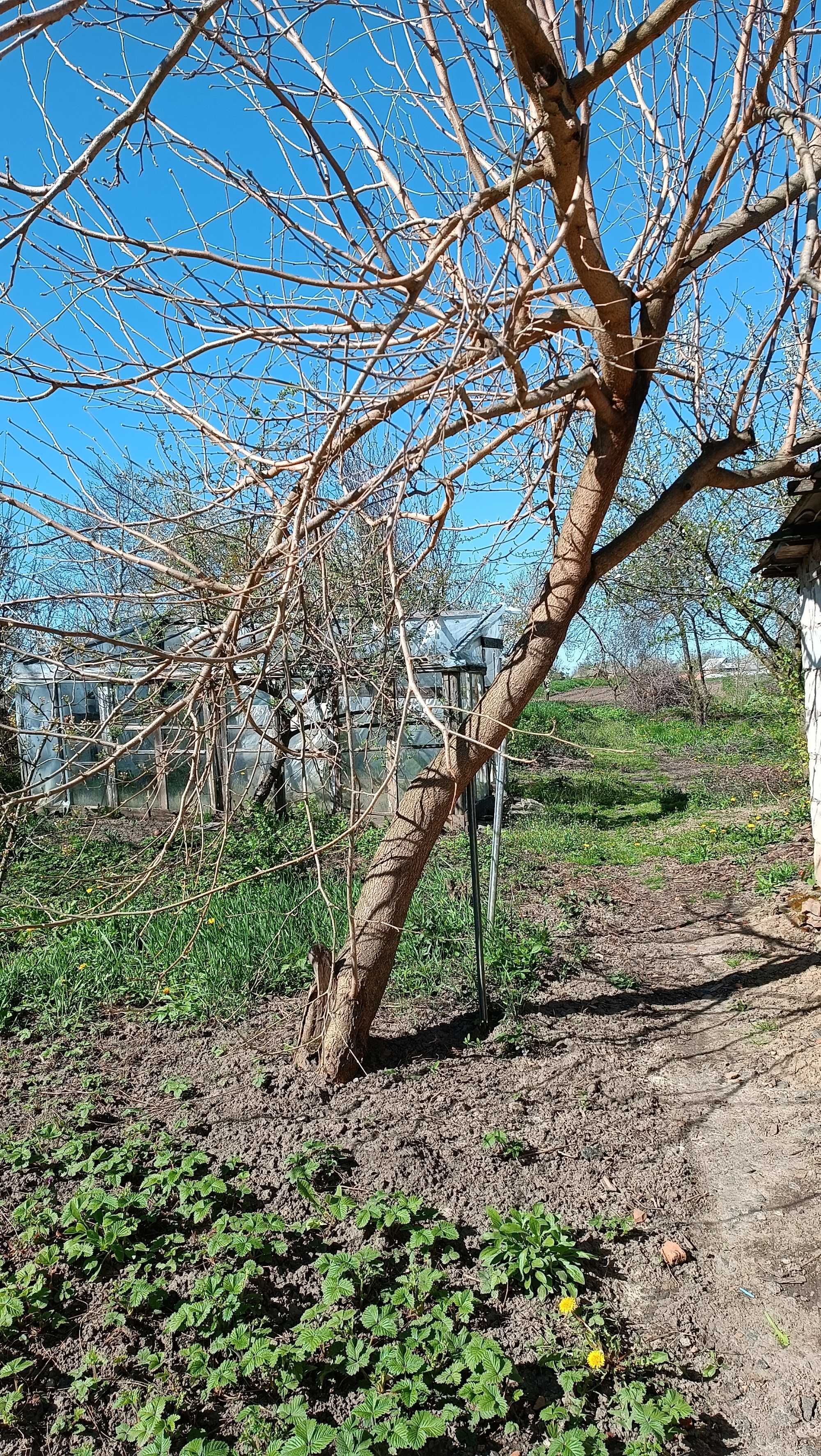 Обʼєкт нерухомості: 2 КІМ. БУДИНОК, ПЛОЩА - 42.1 м², ЦІНА - 18 000 $
 — HUBTRUST, Вінниця