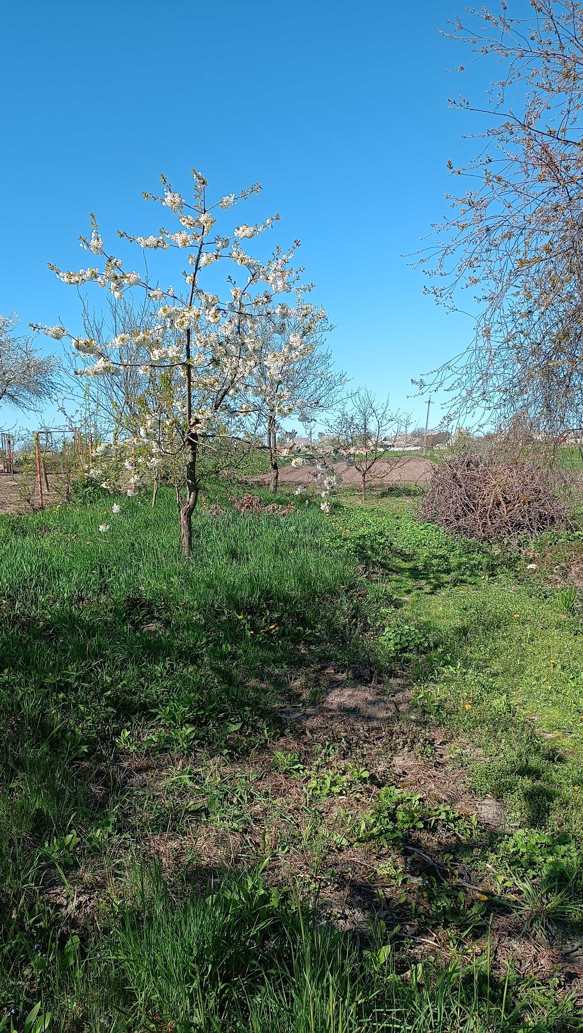 Обʼєкт нерухомості: 2 КІМ. БУДИНОК, ПЛОЩА - 42.1 м², ЦІНА - 18 000 $
 — HUBTRUST, Вінниця