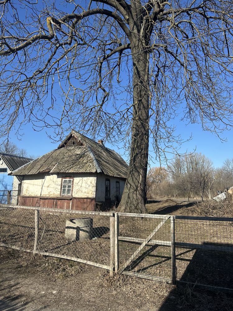 ПЛОЩА - 20 CОТ., ЦІНА - 10 000 $
