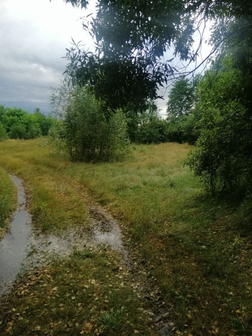 Обʼєкт нерухомості: ПЛОЩА - 0.31 CОТ., ЦІНА - 450 $
 — HUBTRUST, Вінниця