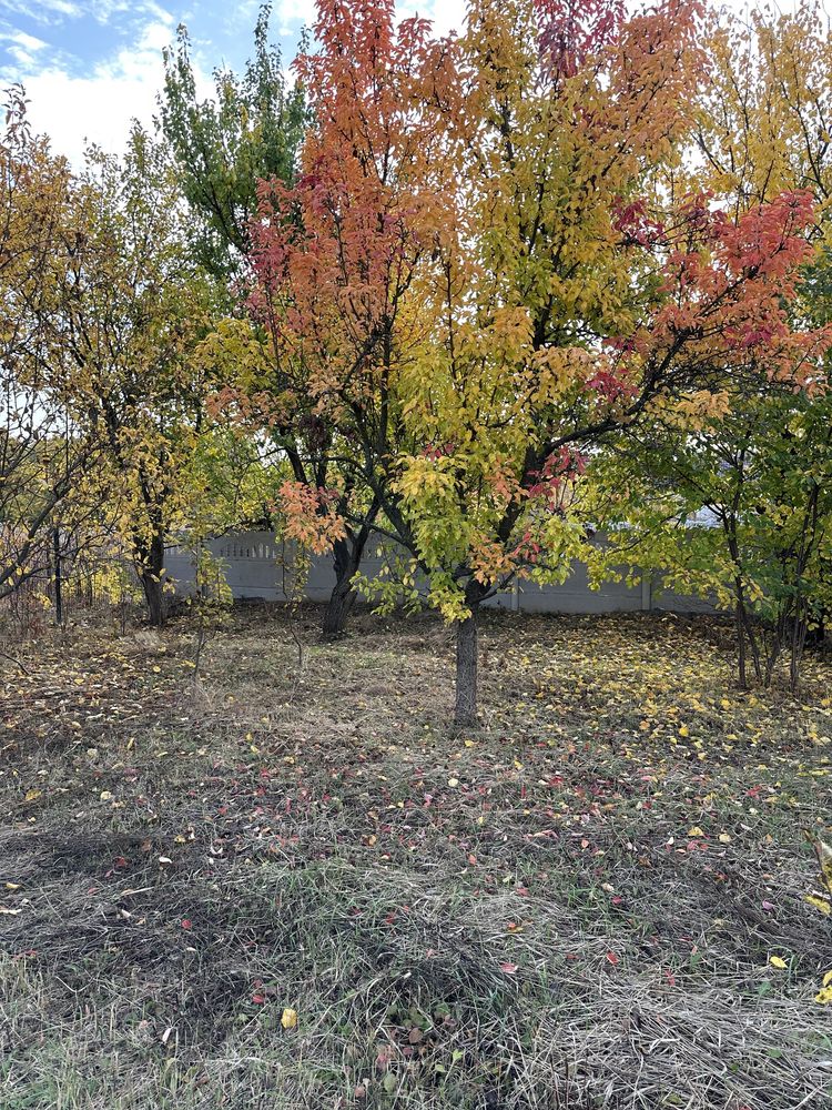 Обʼєкт нерухомості: 2 КІМ. БУДИНОК, ПЛОЩА - 60 м², ЦІНА - 43 000 $
 — HUBTRUST, Вінниця
