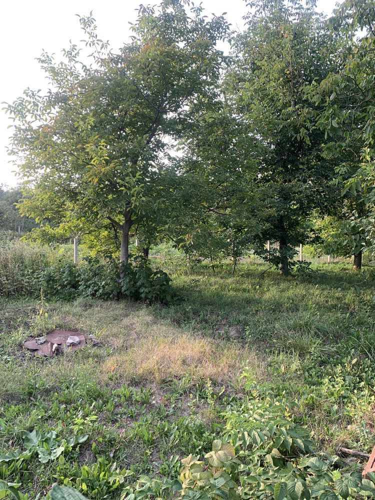 Обʼєкт нерухомості: 2 КІМ. БУДИНОК, ПЛОЩА - 42 м², ЦІНА - 2 879 $
 — HUBTRUST, Вінниця