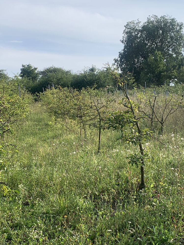 Обʼєкт нерухомості: 2 КІМ. БУДИНОК, ПЛОЩА - 42 м², ЦІНА - 2 879 $
 — HUBTRUST, Вінниця