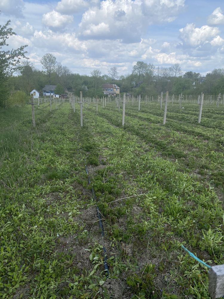 Обʼєкт нерухомості: ПЛОЩА - 60 CОТ., ЦІНА - 15 000 $
 — HUBTRUST, Вінниця