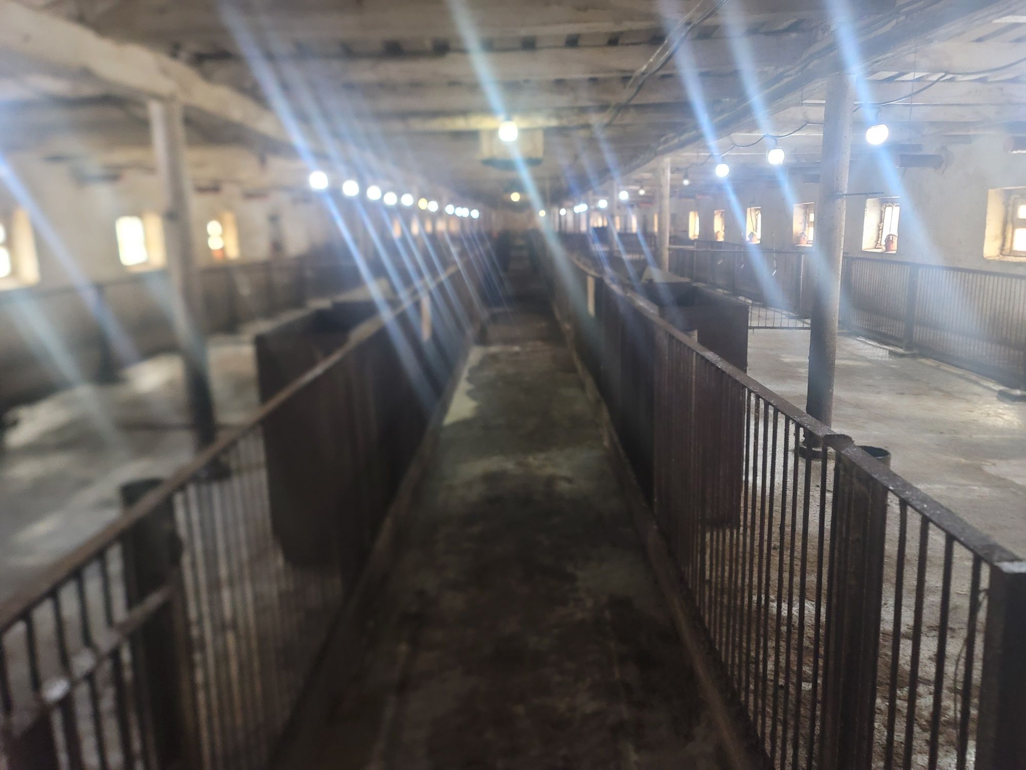 Обʼєкт нерухомості: ПЛОЩА - 6000 м², ЦІНА - 90 000 $
 — HUBTRUST, Вінниця