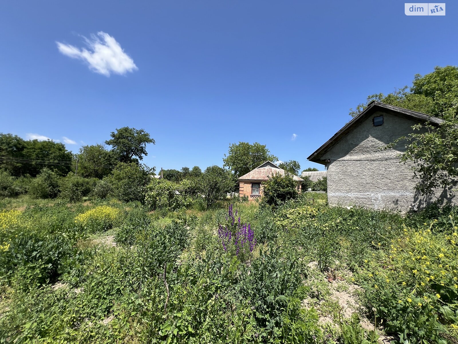Обʼєкт нерухомості: 3 КІМ. БУДИНОК, ПЛОЩА - 50 м², ЦІНА - 24 000 $
, вул. Зелена — HUBTRUST, Вінниця