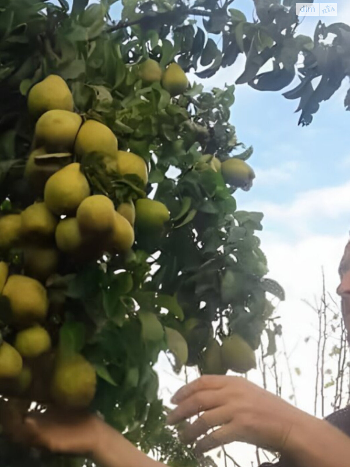 Обʼєкт нерухомості: ПЛОЩА - 39.9 CОТ., ЦІНА - 30 000 $
, вул. Коцюбинського — HUBTRUST, Вінниця