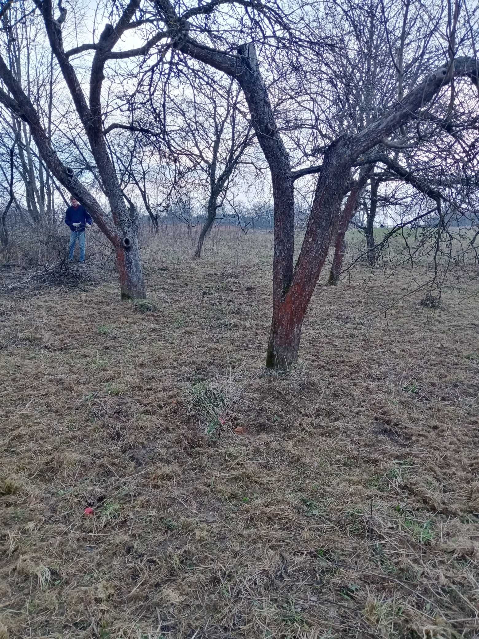 Обʼєкт нерухомості: 2 КІМ. БУДИНОК, ПЛОЩА - 61 м², ЦІНА - 5 500 $
 — HUBTRUST, Вінниця