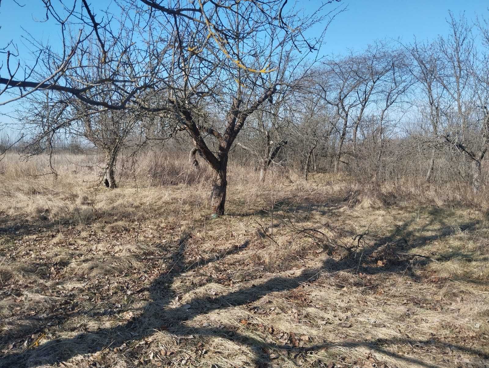 Обʼєкт нерухомості: 3 КІМ. БУДИНОК, ПЛОЩА - 50 м², ЦІНА - 4 500 $
 — HUBTRUST, Вінниця