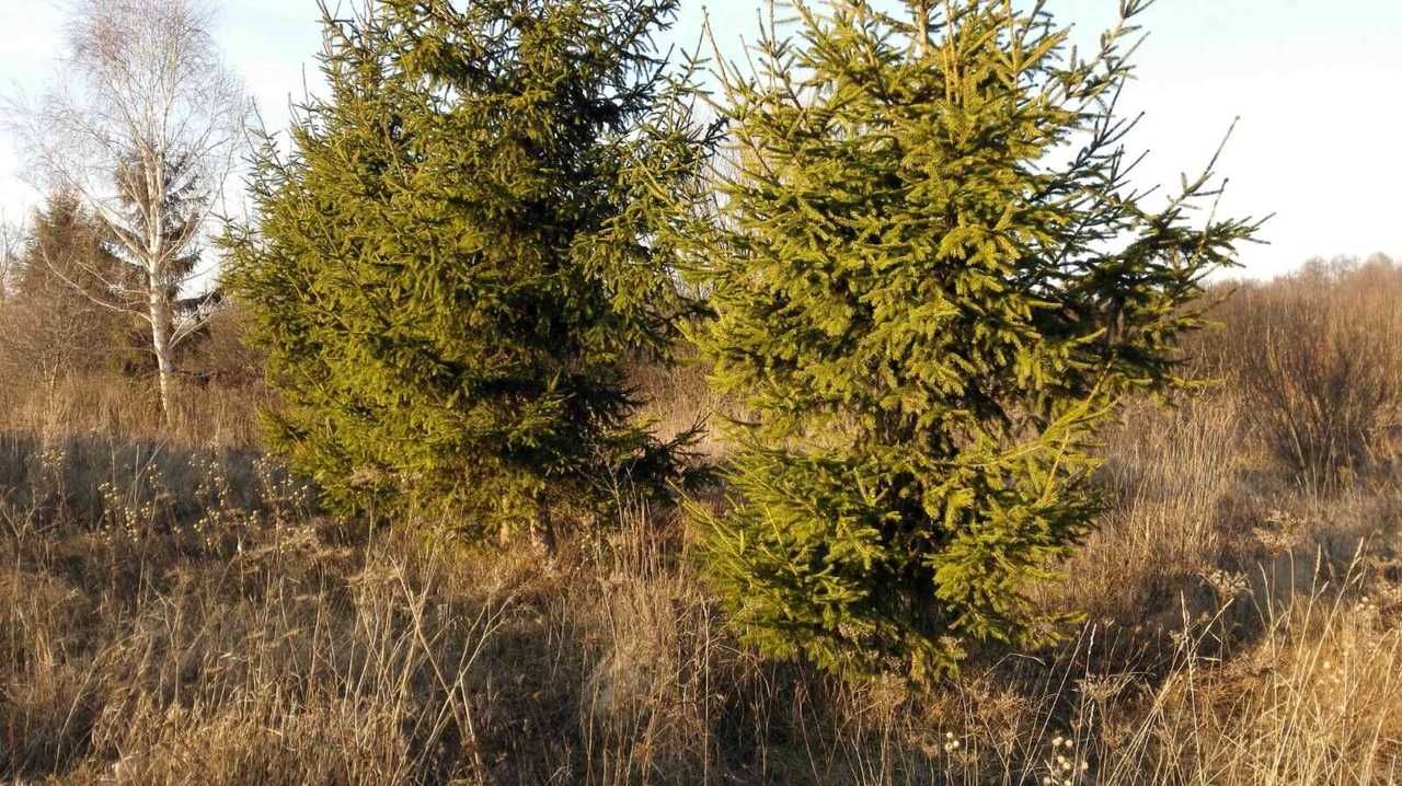 Обʼєкт нерухомості: ПЛОЩА - 25 CОТ., ЦІНА - 15 000 $
 — HUBTRUST, Вінниця