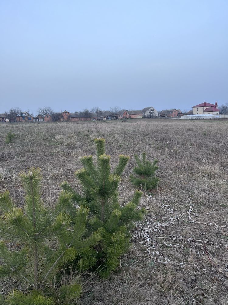 Обʼєкт нерухомості: ПЛОЩА - 26 CОТ., ЦІНА - 9 500 $
 — HUBTRUST, Вінниця