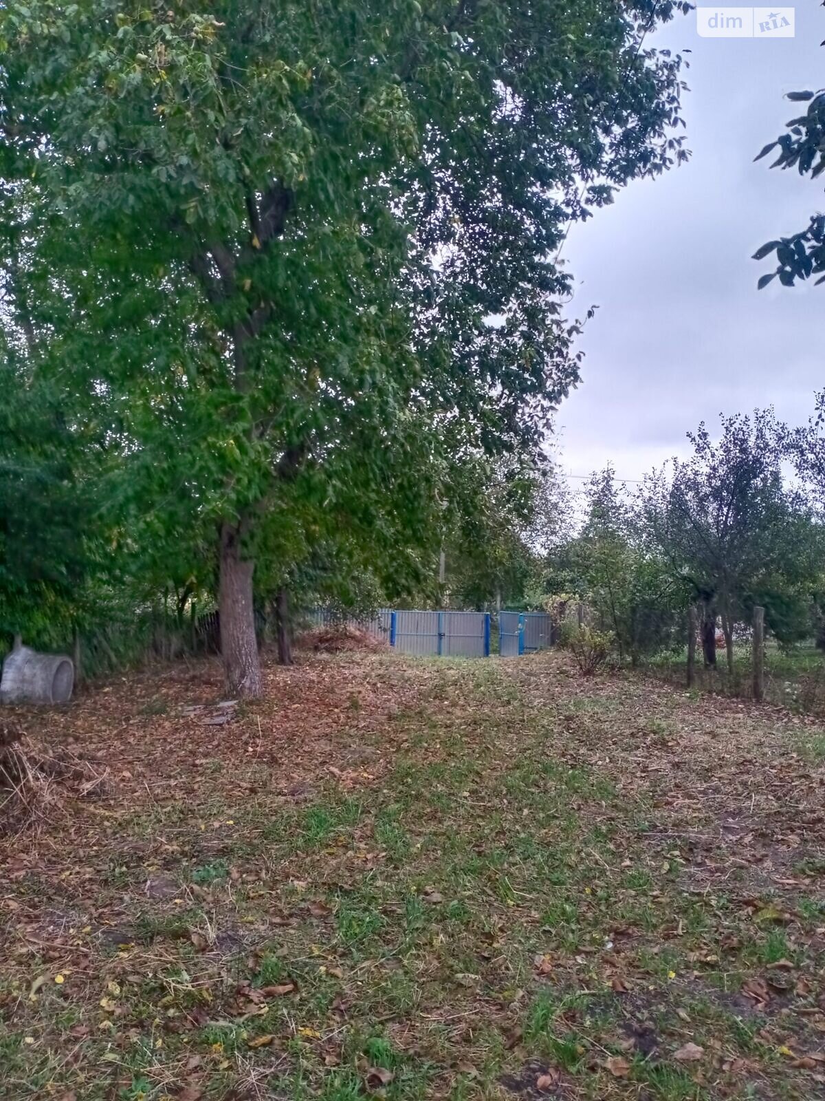 Обʼєкт нерухомості: ПЛОЩА - 51 CОТ., ЦІНА - 10 500 $
, вул. Шевченка — HUBTRUST, Вінниця