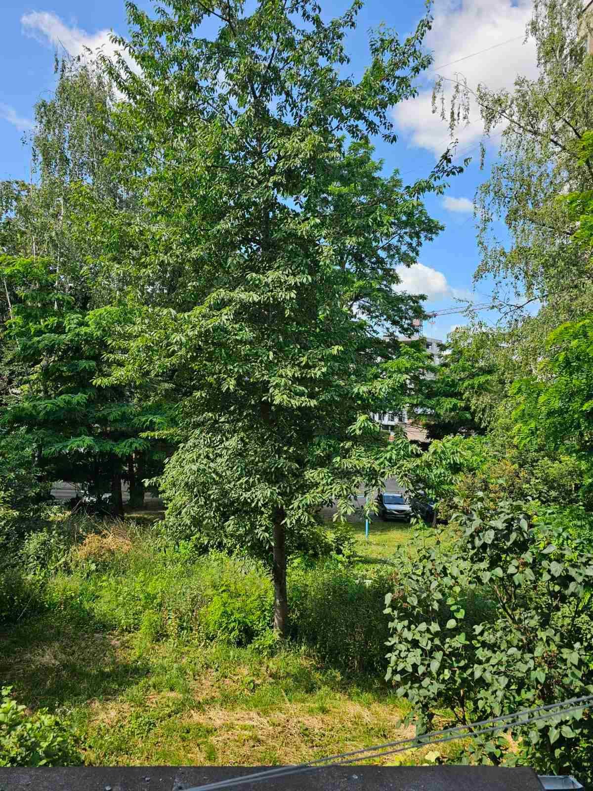 Обʼєкт нерухомості: 1 КІМ. КВАРТИРА, ПЛОЩА - 30 м², ЦІНА - 45 500 $
 — HUBTRUST, Вінниця