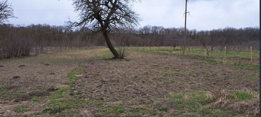 Обʼєкт нерухомості: 2 КІМ. БУДИНОК, ПЛОЩА - 70 м², ЦІНА - 15 000 $
 — HUBTRUST, Вінниця