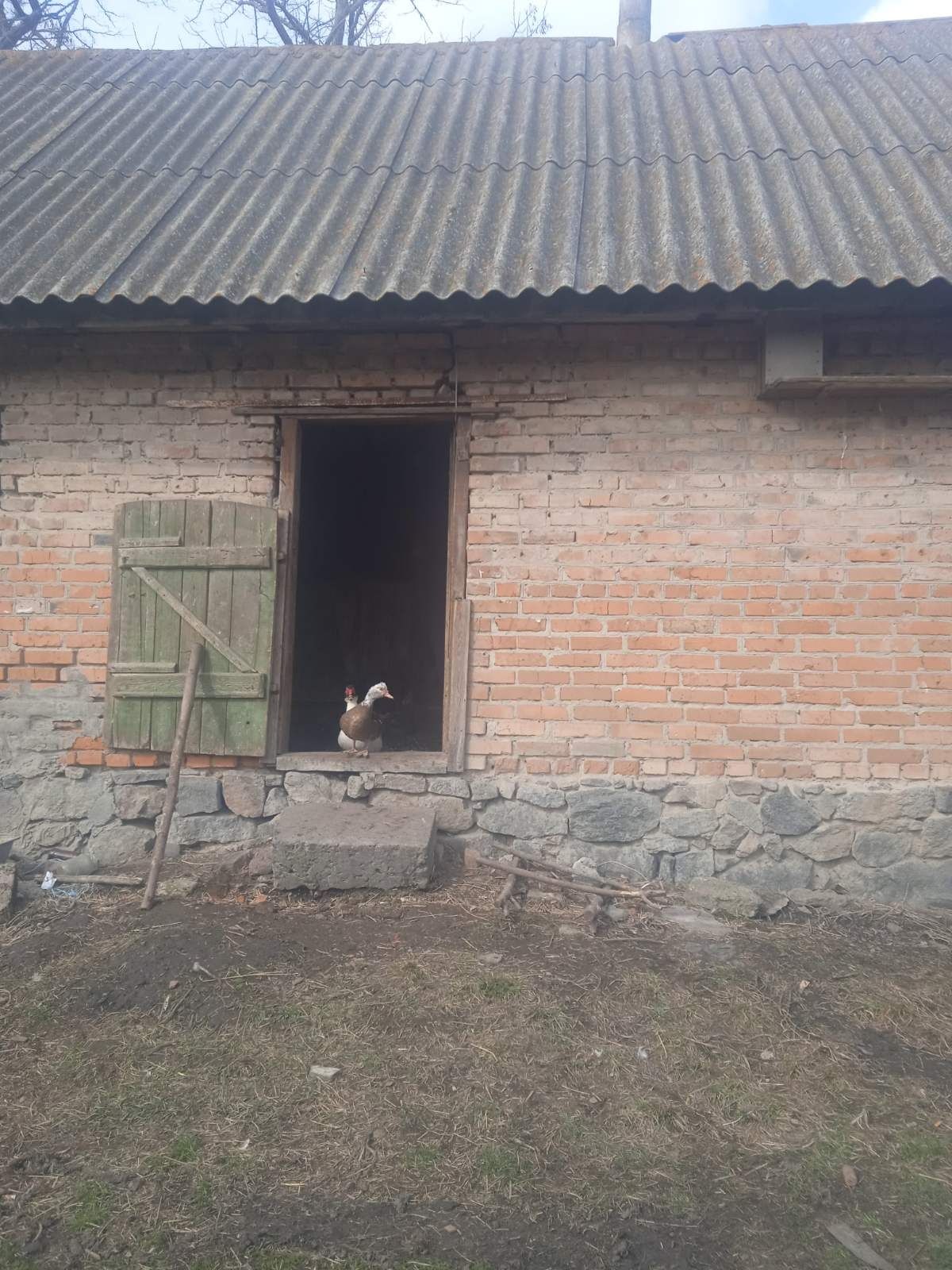 Обʼєкт нерухомості: 4 КІМ. БУДИНОК, ПЛОЩА - 70 м², ЦІНА - 4 000 $
 — HUBTRUST, Вінниця