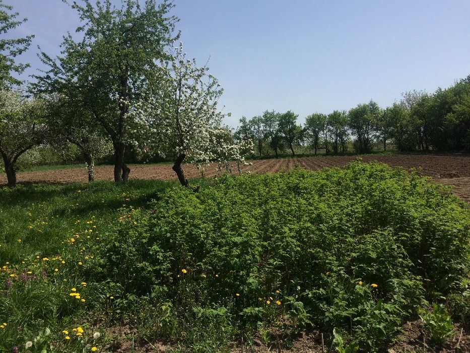 Обʼєкт нерухомості: 4 КІМ. БУДИНОК, ПЛОЩА - 5400 м², ЦІНА - 20 000 $
 — HUBTRUST, Вінниця