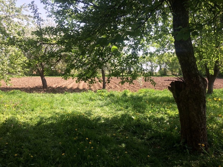Обʼєкт нерухомості: 4 КІМ. БУДИНОК, ПЛОЩА - 5400 м², ЦІНА - 20 000 $
 — HUBTRUST, Вінниця