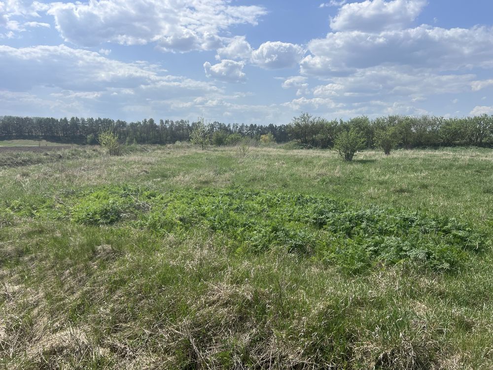 Обʼєкт нерухомості: ПЛОЩА - 200 CОТ., ЦІНА - 9 500 $
 — HUBTRUST, Вінниця