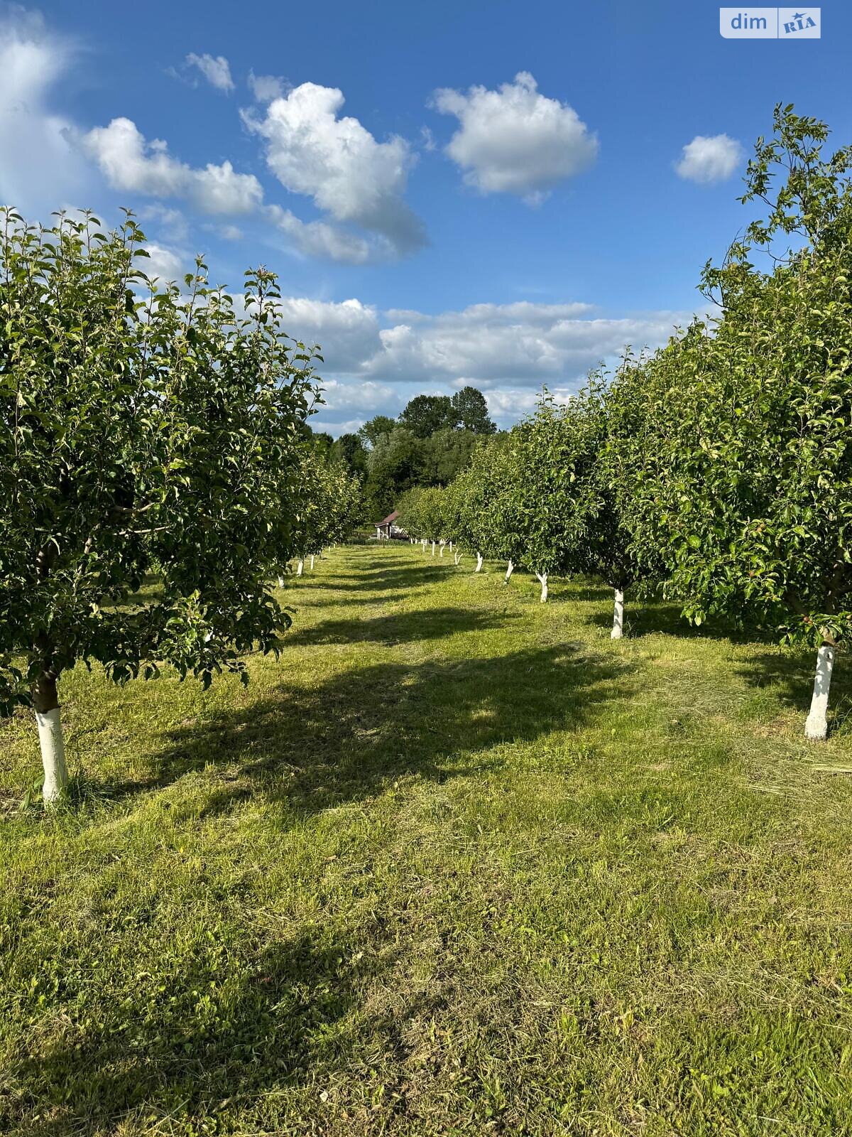 Обʼєкт нерухомості: 3 КІМ. БУДИНОК, ПЛОЩА - 94.4 м², ЦІНА - 85 000 $
, вул. Коцюбинського — HUBTRUST, Вінниця