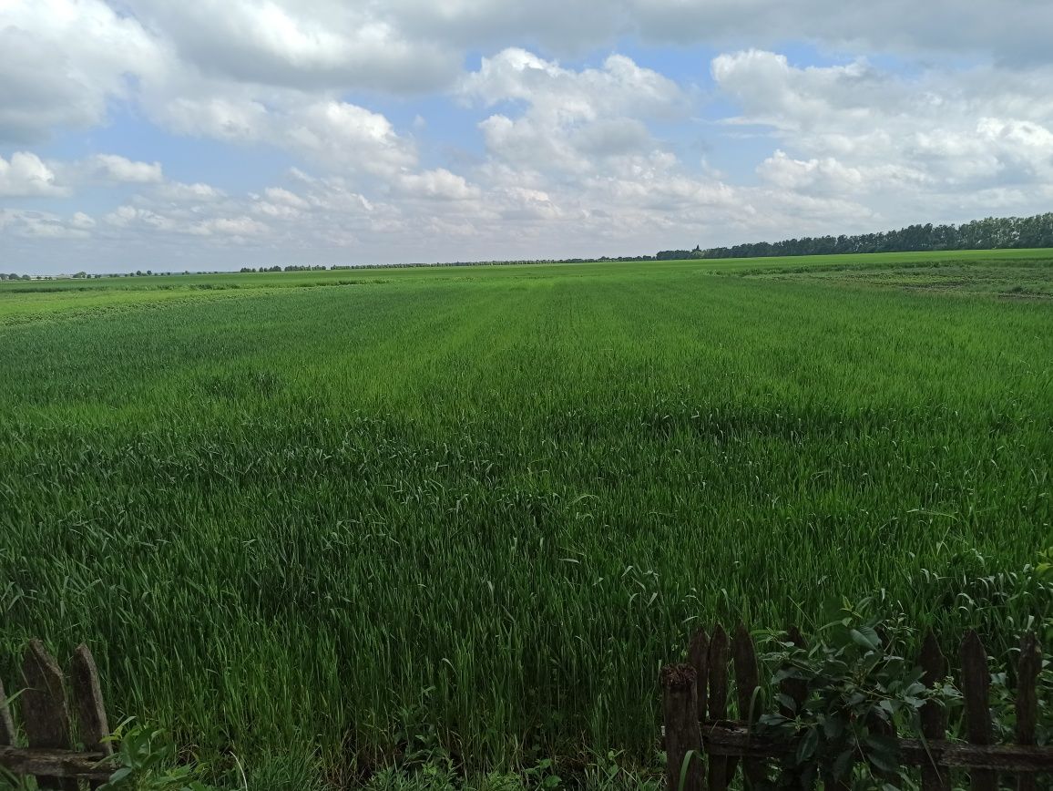 Обʼєкт нерухомості: 4 КІМ. БУДИНОК, ПЛОЩА - 60 м², ЦІНА - 3 450 $
 — HUBTRUST, Вінниця