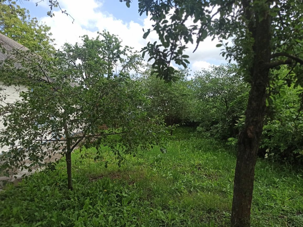Обʼєкт нерухомості: 4 КІМ. БУДИНОК, ПЛОЩА - 60 м², ЦІНА - 3 450 $
 — HUBTRUST, Вінниця