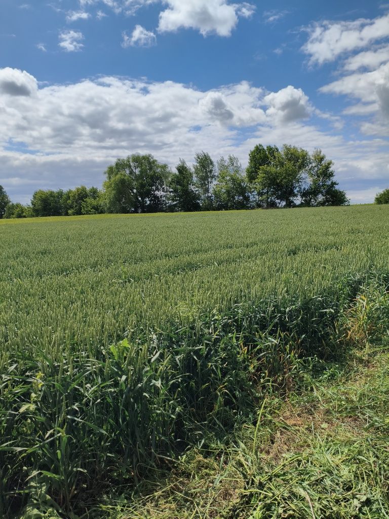 Обʼєкт нерухомості: 3 КІМ. БУДИНОК, ПЛОЩА - 56 м², ЦІНА - 8 000 $
 — HUBTRUST, Вінниця