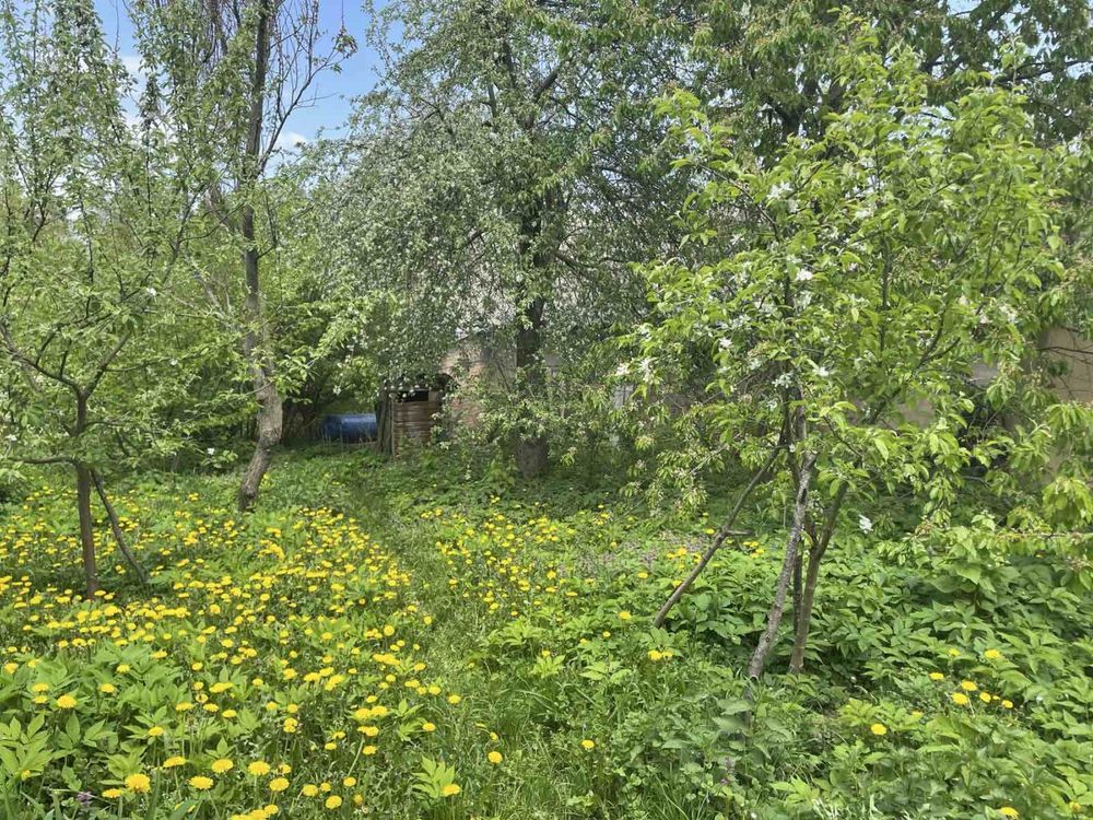 Обʼєкт нерухомості: 2 КІМ. БУДИНОК, ПЛОЩА - 20 м², ЦІНА - 7 000 $
 — HUBTRUST, Вінниця
