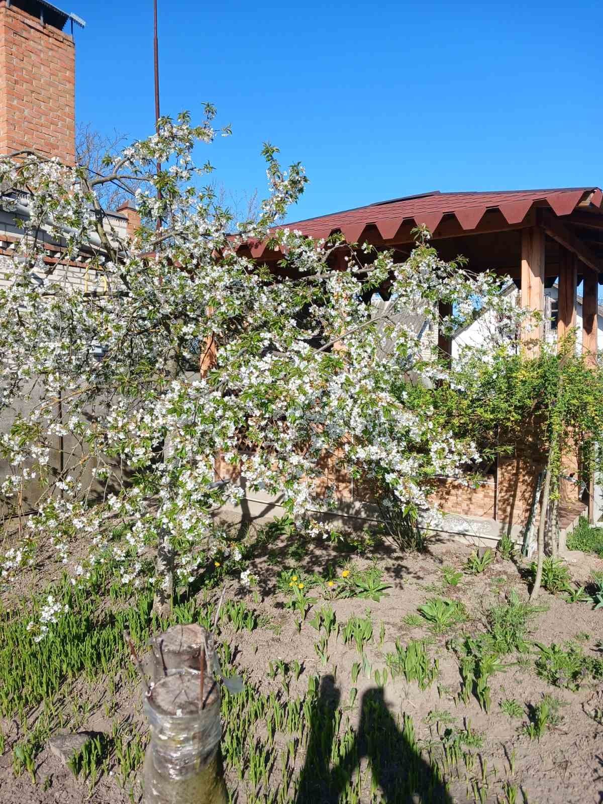 Обʼєкт нерухомості: 3 КІМ. БУДИНОК, ПЛОЩА - 83 м², ЦІНА - 43 900 $
 — HUBTRUST, Вінниця
