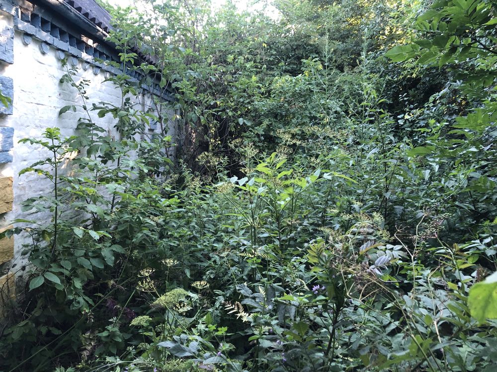 Обʼєкт нерухомості: 2 КІМ. БУДИНОК, ПЛОЩА - 60 м², ЦІНА - 5 500 $
 — HUBTRUST, Вінниця