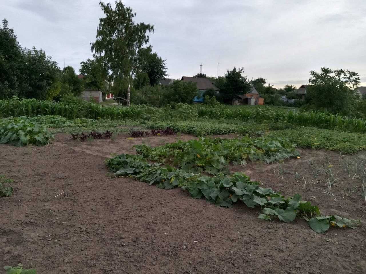 ПЛОЩА - 23 CОТ., ЦІНА - 280 $
