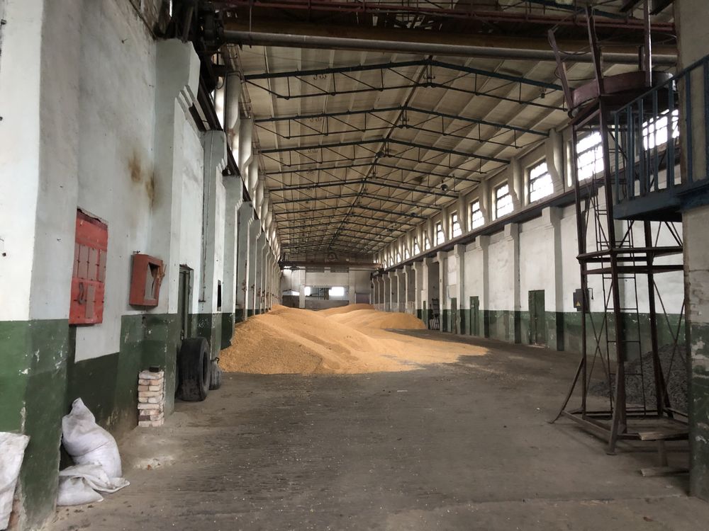 ПЛОЩА - 3000 м², ЦІНА - 180 000 $
