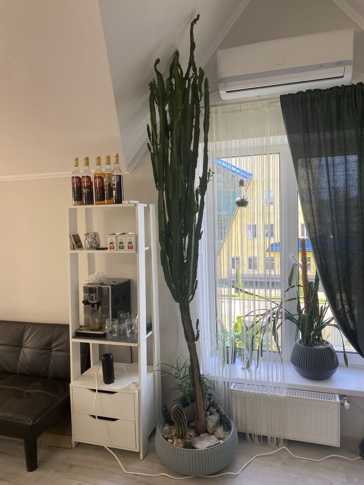 Обʼєкт нерухомості: ПЛОЩА - 30 м², ЦІНА - 119 $
 — HUBTRUST, Вінниця