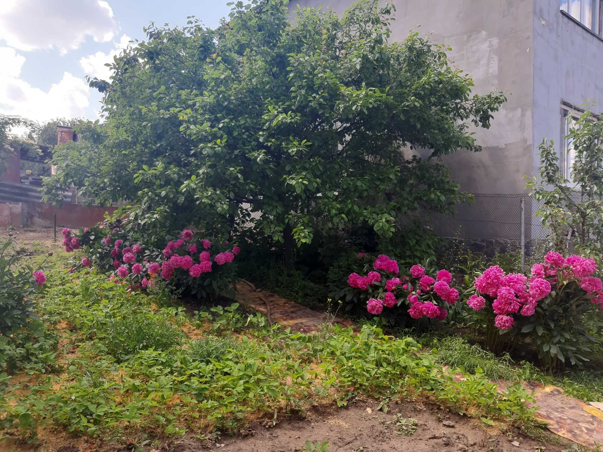 Фото 4 КІМ.  БУДИНОК ПЛОЩА – 180 м², ЦІНА – 91 500$, РАЙОН: Пʼятничани у Вінниці