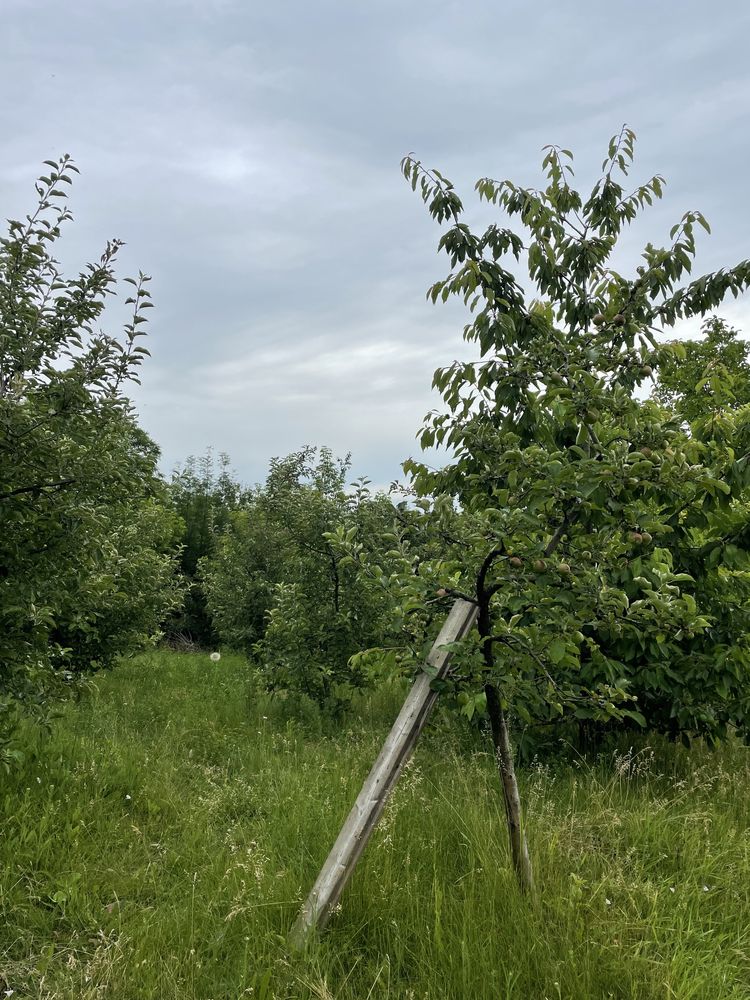 Обʼєкт нерухомості: 3 КІМ. БУДИНОК, ПЛОЩА - 65 м², ЦІНА - 6 000 $
 — HUBTRUST, Вінниця