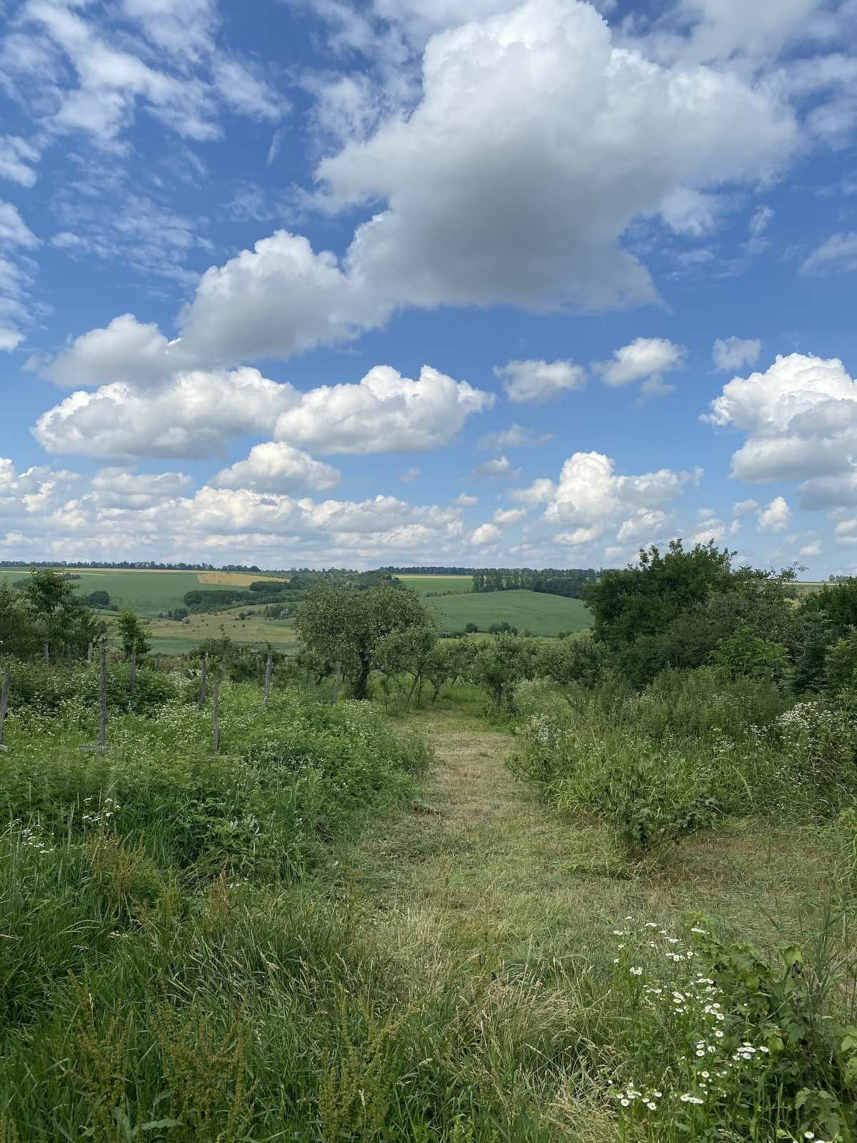 Обʼєкт нерухомості: 3 КІМ. БУДИНОК, ПЛОЩА - 54 м², ЦІНА - 8 000 $
 — HUBTRUST, Вінниця