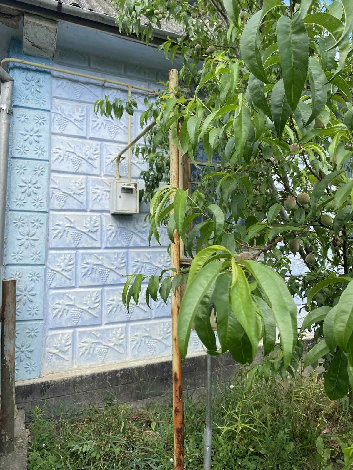 Обʼєкт нерухомості: 3 КІМ. БУДИНОК, ПЛОЩА - 54 м², ЦІНА - 8 000 $
 — HUBTRUST, Вінниця