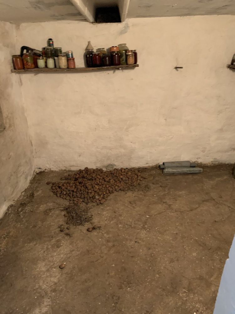 Обʼєкт нерухомості: 1 КІМ. БУДИНОК, ПЛОЩА - 42 м², ЦІНА - 17 800 $
 — HUBTRUST, Вінниця