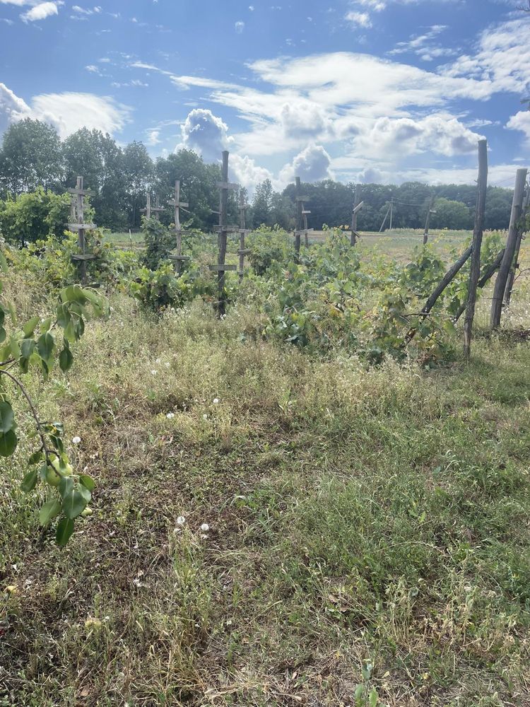 Обʼєкт нерухомості: 2 КІМ. БУДИНОК, ПЛОЩА - 30 м², ЦІНА - 5 500 $
 — HUBTRUST, Вінниця
