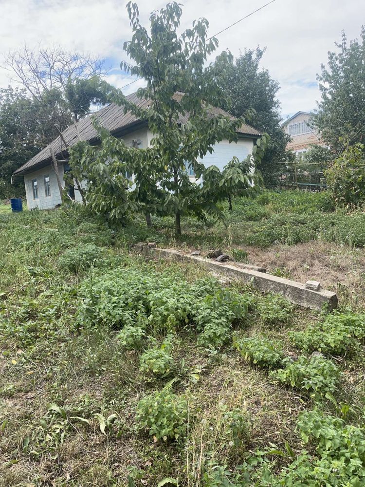 Обʼєкт нерухомості: 2 КІМ. БУДИНОК, ПЛОЩА - 30 м², ЦІНА - 5 500 $
 — HUBTRUST, Вінниця