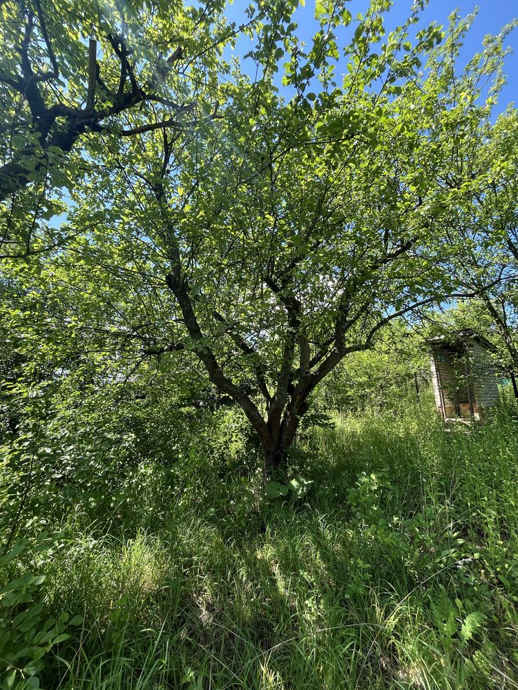 Фото ПЛОЩА – 4 сот., ЦІНА – 6 400$, РАЙОН: Хижинці у Вінниці